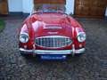 Austin-Healey 100 100/6 BN6 117PK Tweezitter Rot - thumbnail 6