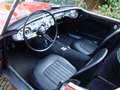 Austin-Healey 100 100/6 BN6 117PK Tweezitter Rot - thumbnail 12