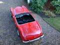 Austin-Healey 100 100/6 BN6 117PK Tweezitter Rot - thumbnail 15