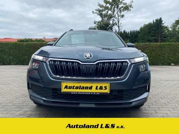 Active 1.0 TSI, LED, SH, PDC, 1. Hand, Allwetterre
