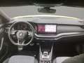 Skoda Octavia 1.5 TSI mHEV 110 kW Sportline Grün - thumbnail 15