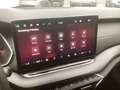 Skoda Octavia 1.5 TSI mHEV 110 kW Sportline Grün - thumbnail 20