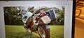 BMW R 1200 GS Rallye Blanco - thumbnail 3