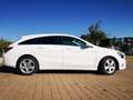 Mercedes-Benz CLA 220 d shooting brake business Bianco - thumbnail 15