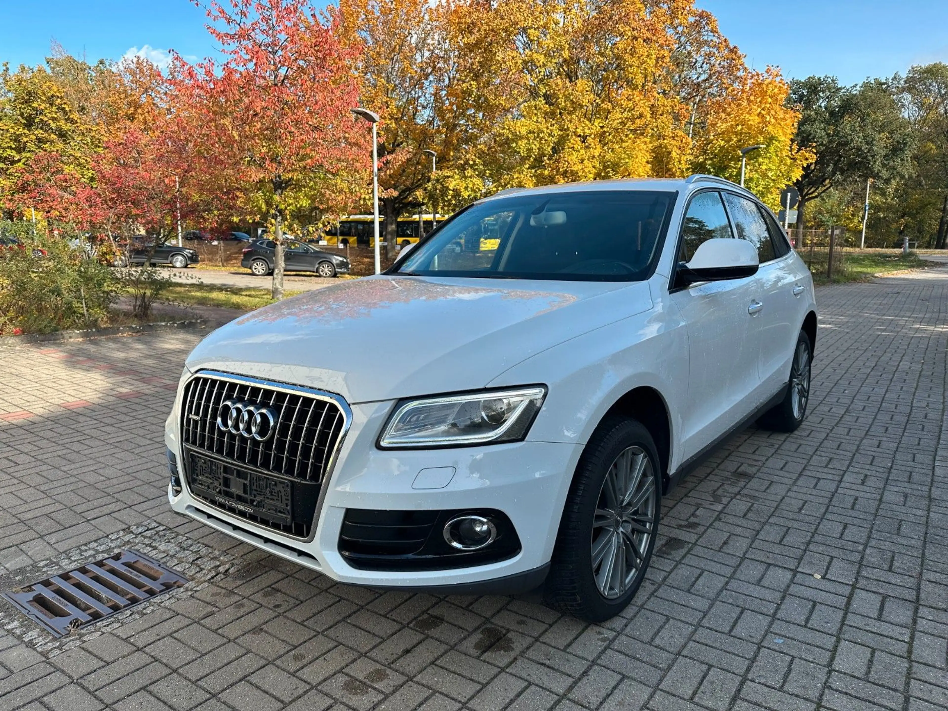 Audi Q5 2.0 TDI 140 kW quattro Autom-Navi