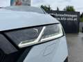 Skoda Octavia Combi 2,0 TDI Style Sport DSG| AHK*CANTON Weiß - thumbnail 36