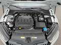 Skoda Octavia Combi 2,0 TDI Style Sport DSG| AHK*CANTON Weiß - thumbnail 35