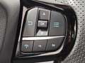 Ford Puma St-Line 1.0 ECB Hybrid 125CV 5p Grijs - thumbnail 17