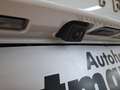 Renault Austral 1.2 E-TECH Full 200 Techno SHZ Tempo Weiß - thumbnail 16
