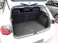 Volkswagen Golf VIII 1.5 TSI ACTIVE +STHZ +IQ.LIGHT +ACC +NAVI +S Weiß - thumbnail 12