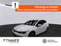 Volkswagen Golf VIII 1.5 TSI ACTIVE +STHZ +IQ.LIGHT +ACC +NAVI +S Weiß - thumbnail 1