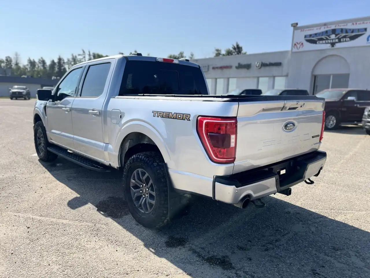 Ford F 150 снимка Ford F 150