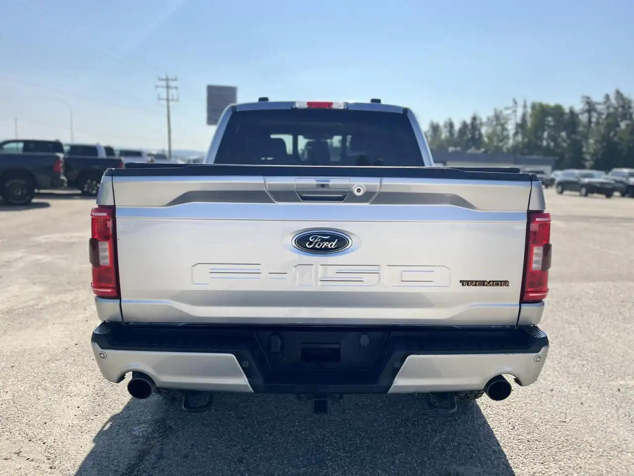 Ford F 150 снимка Ford F 150