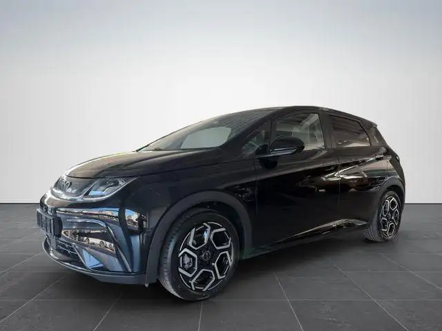 BYD Dolphin G
