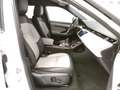 Land Rover Range Rover Evoque - Range Rover Evoque 2.0D I4-L.Flw 150 CV Bianco - thumbnail 15