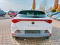 CUPRA Formentor Basis Weiß - thumbnail 5