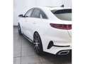 Kia ProCeed / pro_cee'd 1.4 T-GDI DCT GT LINE Navi Pano JBL Weiß - thumbnail 5