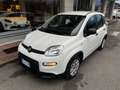 Fiat Panda Panda 1.0 firefly hybrid City Cross s Bianco - thumbnail 2