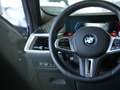 BMW X6 M Competition LCI B&W Sky-Lounce AHK Sitzbel. Gris - thumbnail 16