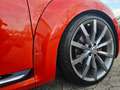 Volkswagen Beetle Lim. Exclusive Sport *20 Zoll*Pano*Leder Orange - thumbnail 9