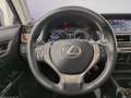 Lexus GS 300 2.5 HYBRID | NETTO: 12388€ | TOIT OUVRANT Grijs - thumbnail 6