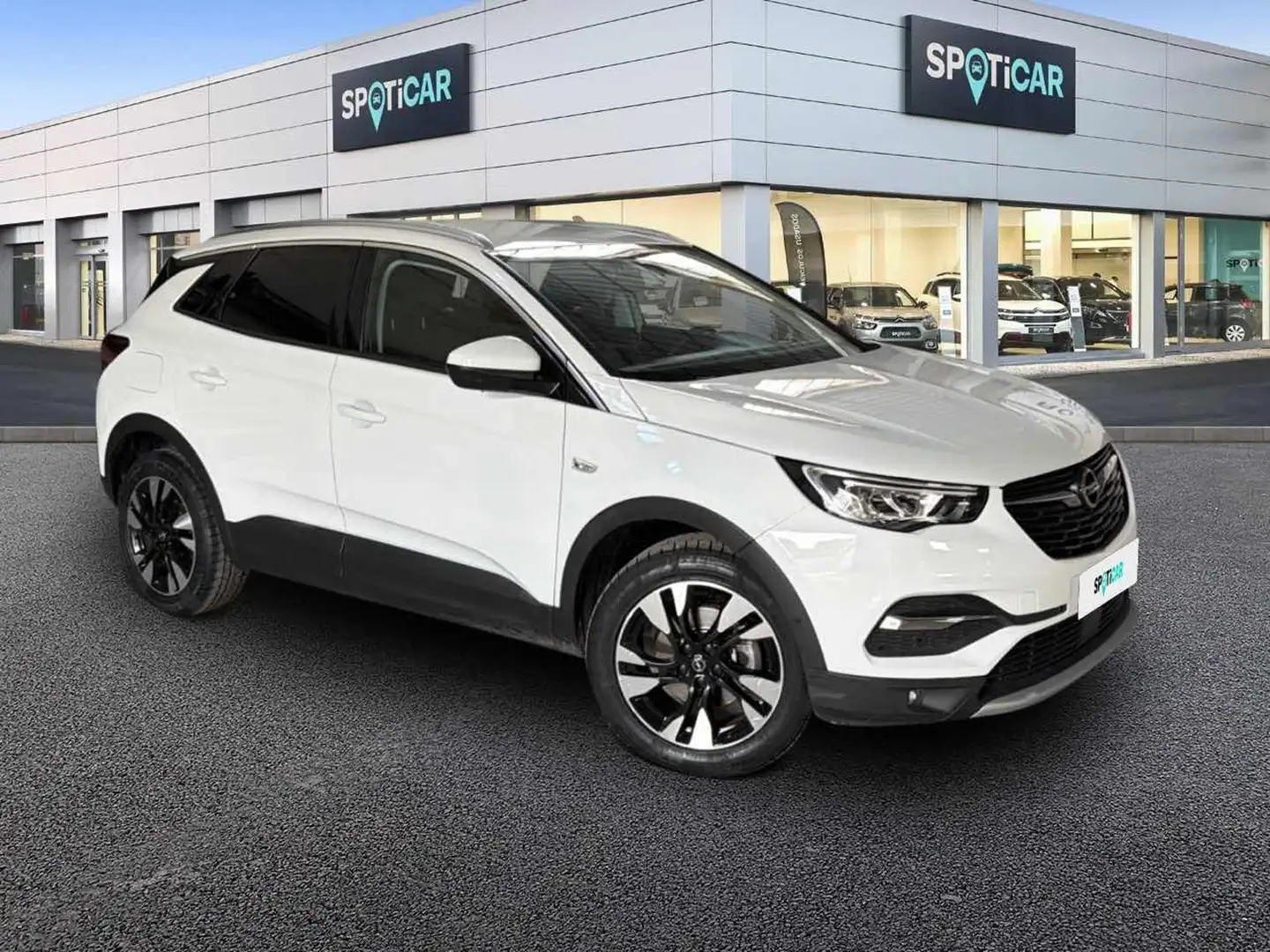 Opel Grandland X 1.5 diesel Ecotec Start&Stop aut. Innovation Bianco - 1