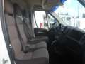 Fiat Ducato furgone medio alto Blanc - thumbnail 8
