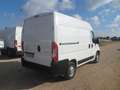 Fiat Ducato furgone medio alto Blanc - thumbnail 4