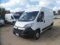 Fiat Ducato furgone medio alto Blanc - thumbnail 1