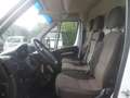 Fiat Ducato furgone medio alto Blanc - thumbnail 9