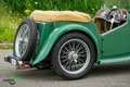 MG TC Verde - thumbnail 31