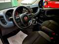 Fiat Panda Panda  1.2 Easy My19 Gris - thumbnail 7