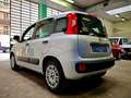 Fiat Panda Panda  1.2 Easy My19 Gris - thumbnail 3