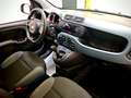 Fiat Panda Panda  1.2 Easy My19 Gris - thumbnail 5