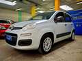 Fiat Panda Panda  1.2 Easy My19 Gris - thumbnail 2
