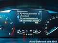 Ford Fiesta Titanium Automatik Navi Kamera Tech-Paket Blu/Azzurro - thumbnail 17