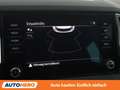 Skoda Karoq 2.0 TDI Ambition 4x4 Grau - thumbnail 22
