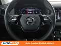 Skoda Karoq 2.0 TDI Ambition 4x4 Grau - thumbnail 19