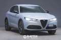 Alfa Romeo Stelvio 2.2 Turbo 210CV Veloce Q4 Auto Grigio - thumbnail 1