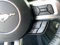 Ford Mustang GT 5,0+MagneRide+ACC+PDC+DAB+LED+NAV+B&O Blau - thumbnail 14