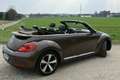 Volkswagen Beetle The Cabriolet 1.4 TSI DSG Design Brązowy - thumbnail 7