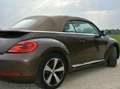 Volkswagen Beetle The Cabriolet 1.4 TSI DSG Design Brązowy - thumbnail 3