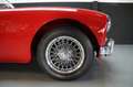 MG MGA Beautiful driver (1956) Rosso - thumbnail 11