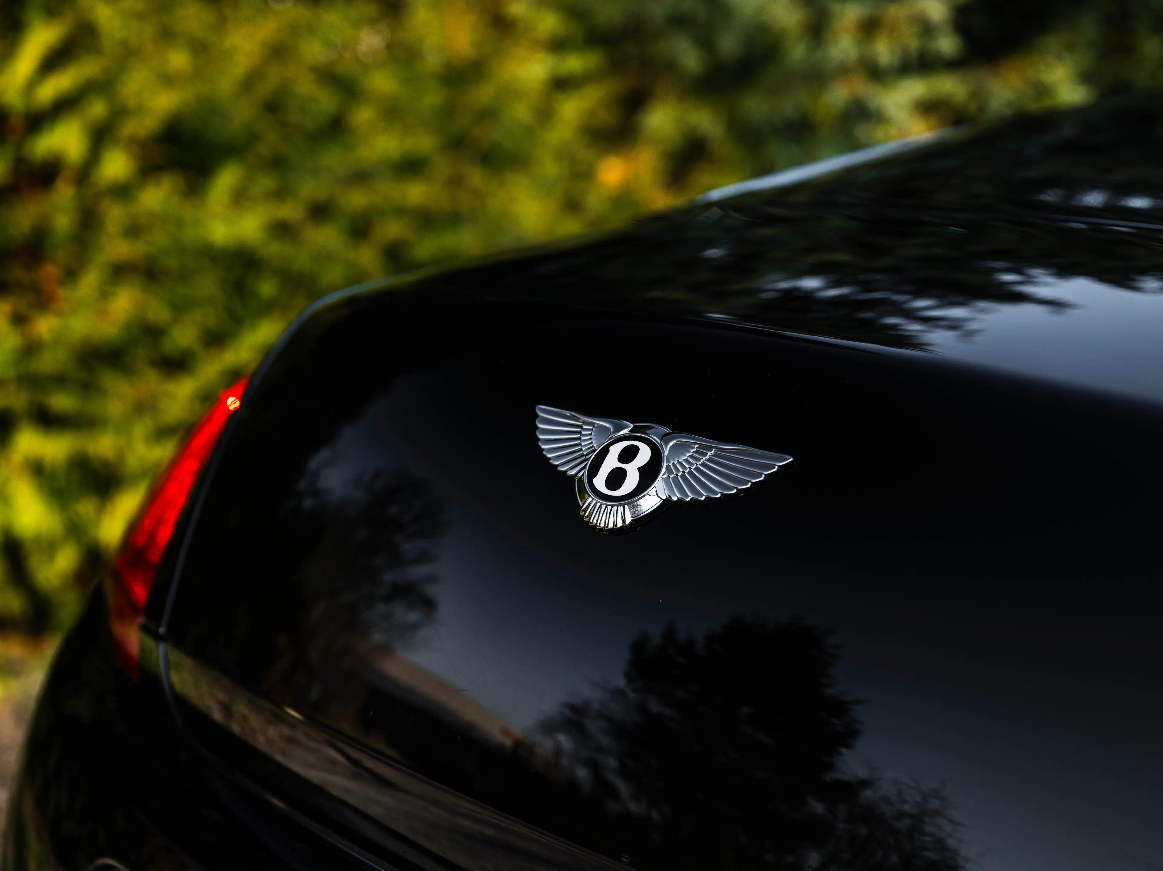 Bentley Continental GT 6.0 W12 — photo 10