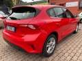 Ford Focus 1.0 EcoBoost 100 CV 5p. Business Rosso - thumbnail 5