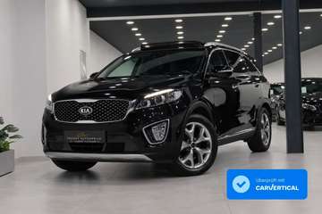 Platinum 4WD/Pano/4xShz/AHK/Memory/360°