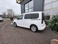 Volkswagen Caddy Life 2,0 TDI Keyless, Sitzheizung, Parkassist, ... Weiß - thumbnail 5