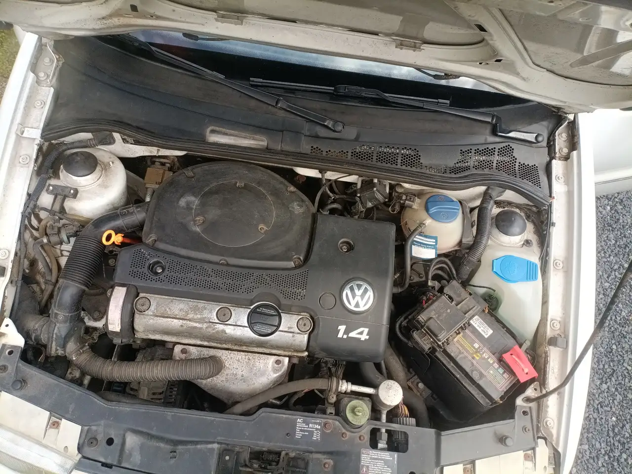 Volkswagen Polo 6n1, foto 10