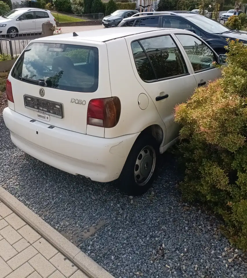 Volkswagen Polo 6n1, foto 3