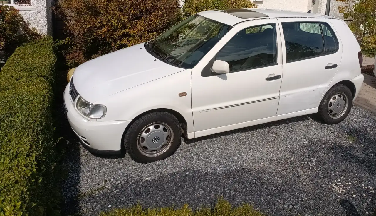 Volkswagen Polo 6n1, foto 1